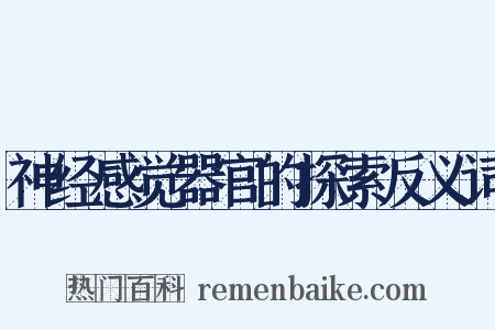 神经感觉器官的探索反义词是什么意思的图片